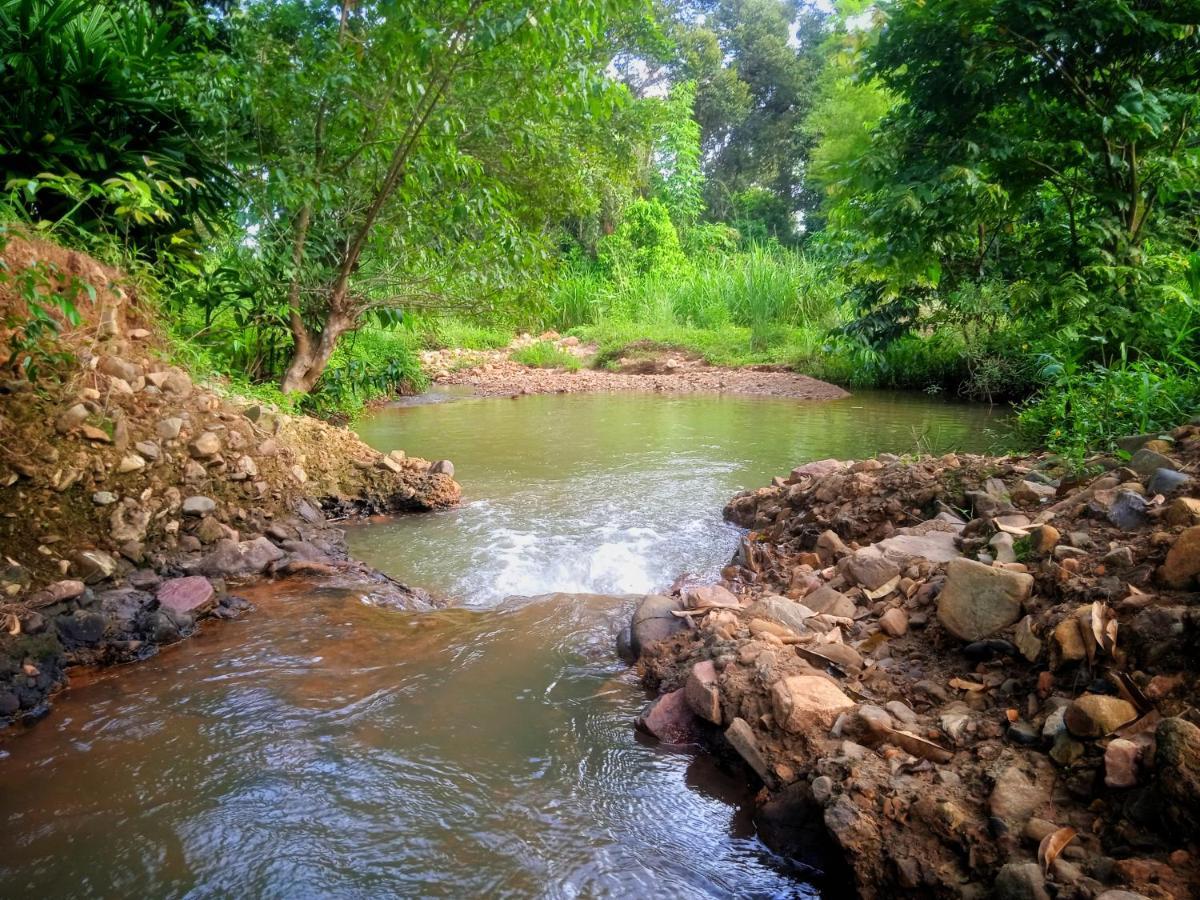 Awanaz Farmstay With Pool And Farm Animal Jitra Kedah Εξωτερικό φωτογραφία